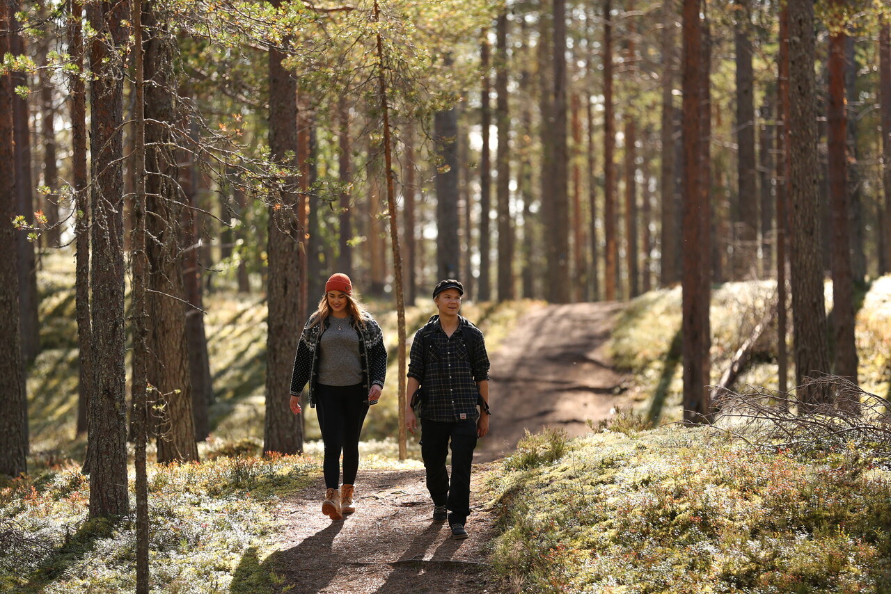 Pariskunta nauttii rauhallisesta kävelystä Oulujärven metsäpoluilla – yhteinen hetki luonnon helmassa.